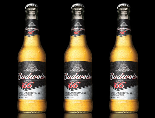 Пиво Бад (Bud): вкусовые особенности, обзор линейки бренда
